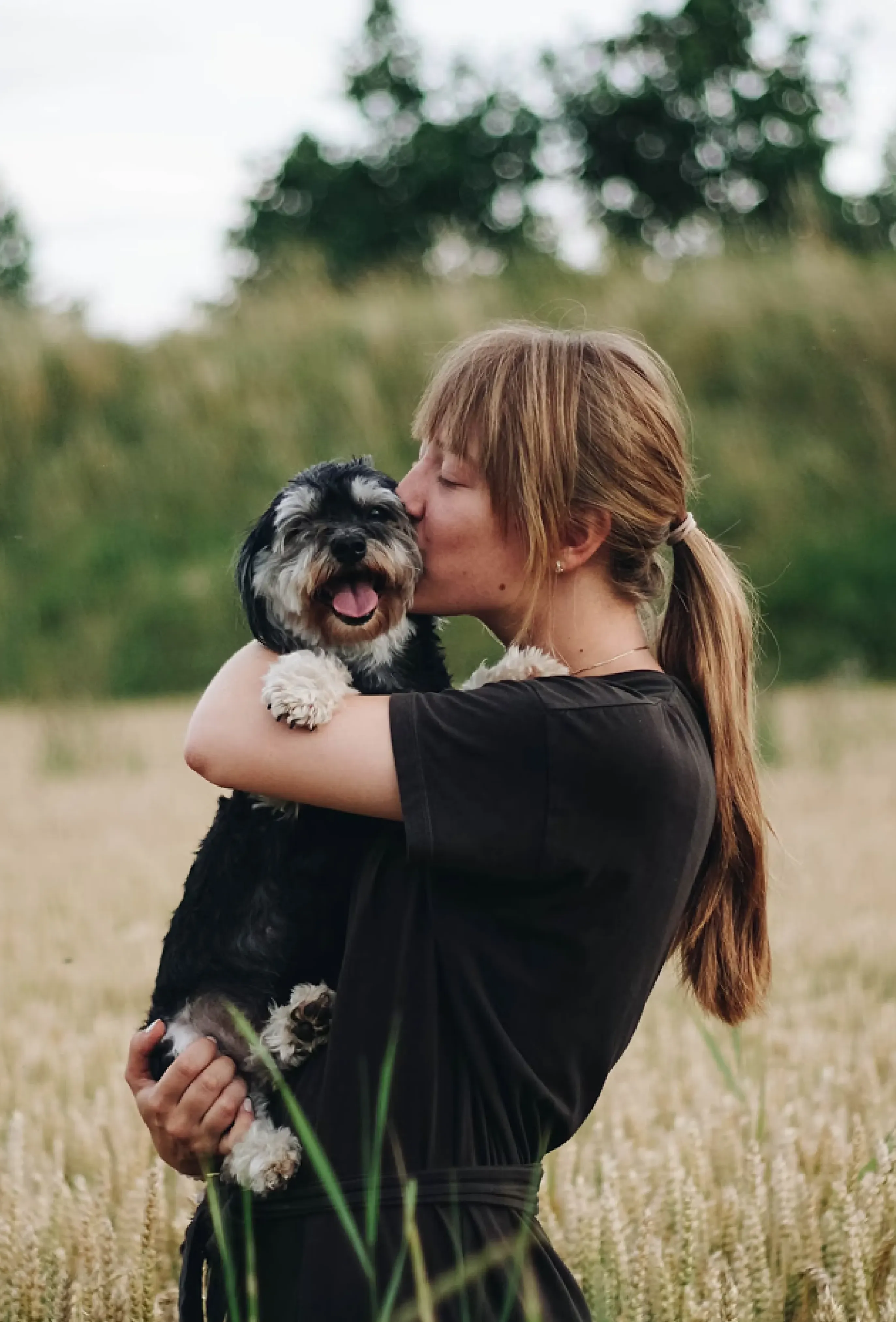 Pet moment overlay
