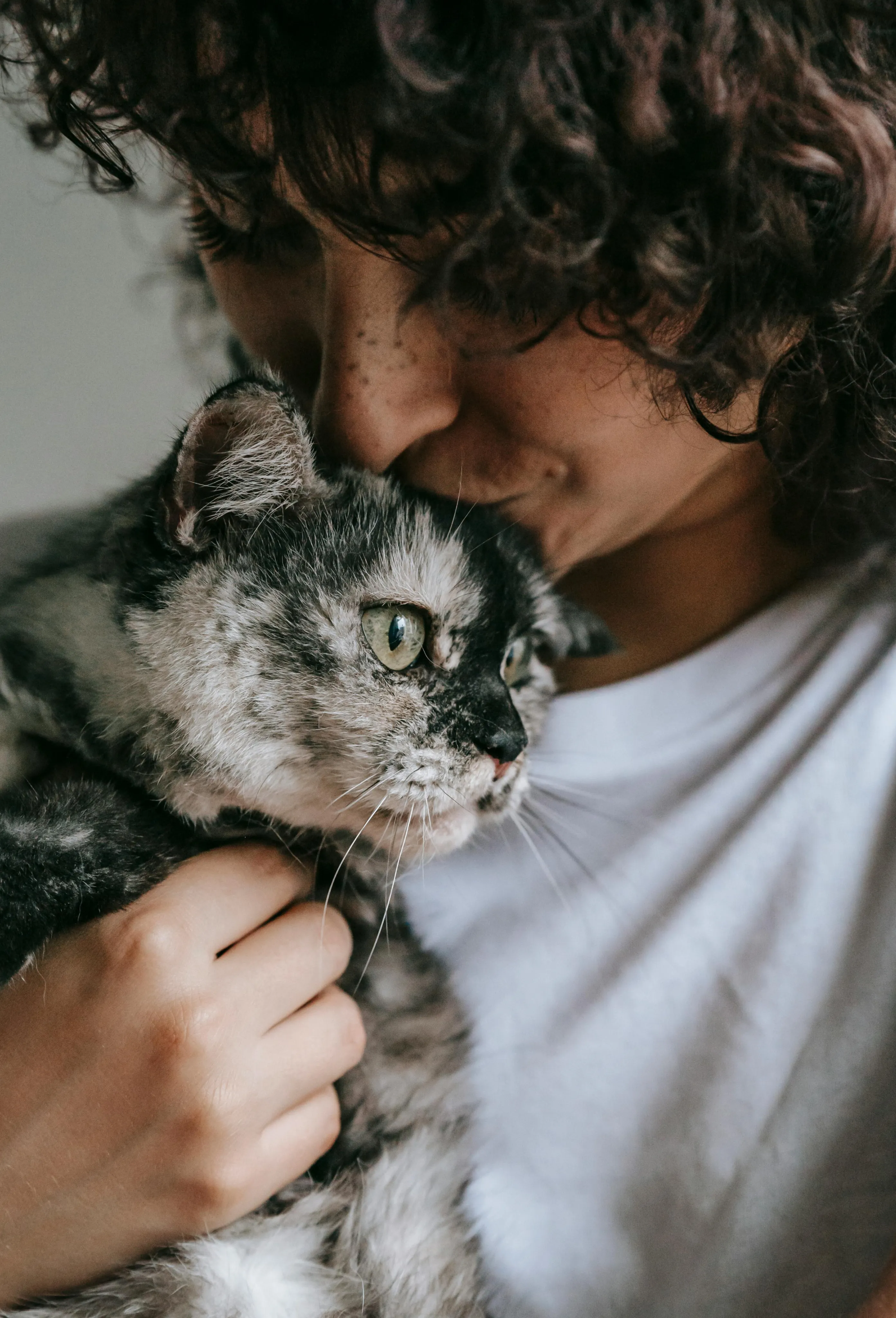 Pet moment overlay