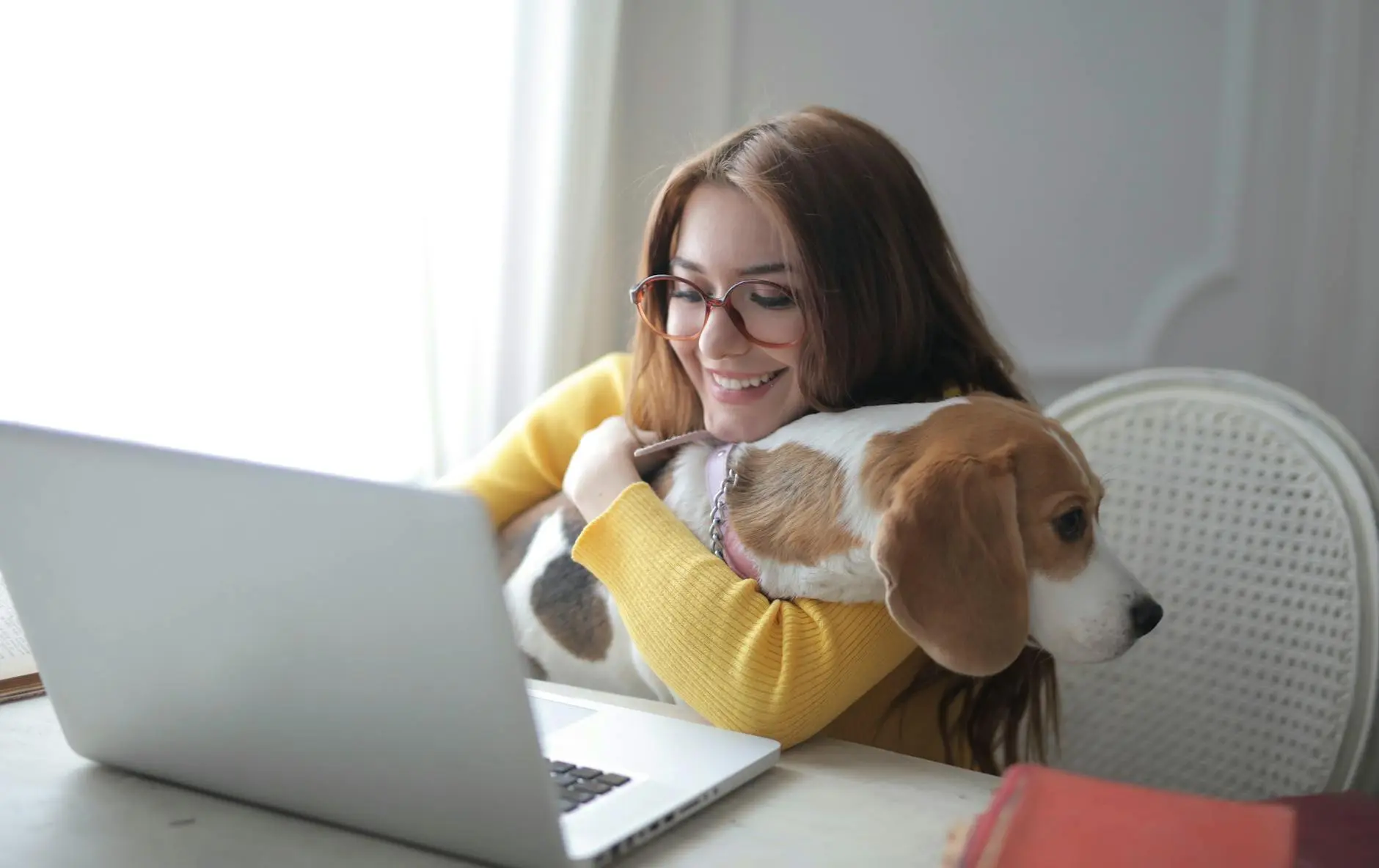 Dog next to a signup form illustration